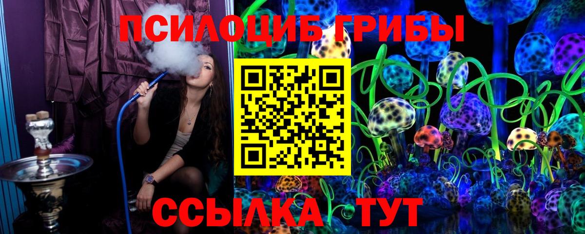 Тулун  Псилоцибиновые грибы прущие грибы  Вход с VPN 